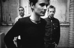 Muse